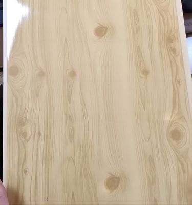 Class A PVC Wall Ceiling Panel