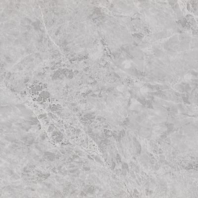 Printing PVC Waterproof Shower Wall Panels 10mm For Decorative